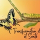 transformation de soi et santé